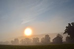 foggy morning field landscape nature fog mist light stock photo