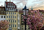 germany dresden saxony architecture stock photo