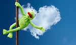 pole dance kermit fun stuffed animal nature toy stock photo