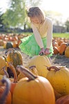 pumpkins little girl pumpkin patch harvest produce organic stock photo