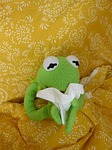 ill cold sniff handkerchief kermit frog stock photo