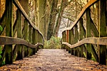 bridge path park wooden trail pedestrian railing wood stock photo