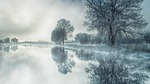 nature tree fog waters snow lake water reflection stock photo