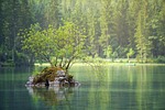 waters nature lake flow water landscape forest trees stock photo