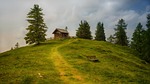 tree grass landscape panorama nature hill hut alm stock photo