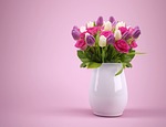 bouquet beautiful flowers flower wallpaper vase flowerpot tulips stock photo