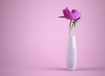 flower hd wallpaper 4k vase 1920x1080 mac full stock photo