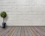 space empty wooden floor plant pot nature boxwood stock photo
