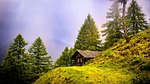 alpine hut mountains trees conifers coniferous conifer forest stock photo