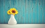 sunflowers cool backgrounds laptop wallpaper vase full hd stock photo