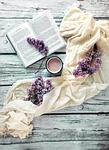 book beautiful flowers flower wallpaper lilac cocoa drink stock photo