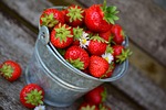strawberries nature fruits berries bucket food leaves organic stock photo