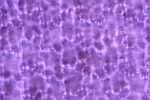 texture transparency transparent textile light pattern lilac lights stock photo