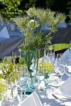 party garden dinner summer meal enjoy cover table stock photo