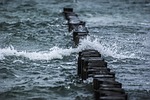 sea waves groynes ocean nature crashing wave breakers stock photo