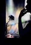 black nature flower woman wallpaper background colour beautiful stock photo