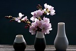 cherry blossoms branch pink spring nature blossom bloom stock photo