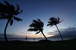 nature landscape silhouette scenic sky trees coconut sunset stock photo