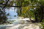 beach san blas islands panama island paradise sea stock photo