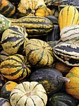 pumpkin food harvest halloween vegetables thanksgiving healthy agriculture stock photo