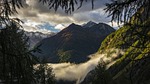 mountains fog trees clouds alps alpine valley mood stock photo