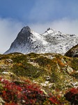 alpine mountains nature summit panorama austria steep autumn stock photo