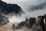 fog mountains mood grenchenberg nature forest haze trees stock photo