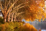 fall lake plane trees nature landscape water mood stock photo