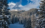 hochybrig schwyz switzerland alpine nature summit mountains winter stock photo