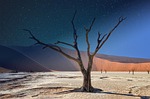 namibia deadvlei panorama acacia landscape africa tree dune stock photo