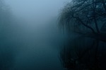 the fog darkness nature trees landscape tree twilight stock photo