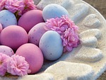 easter eggs pink light blue shell heart macro stock photo