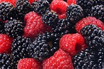 raspberries and blackberries forest fruits closeup vitamins jagoda stock photo