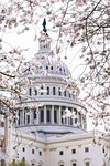 capital usa government landmark america architecture washington congress stock photo
