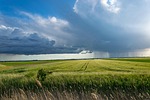 storm nature wheat field clouds sky agriculture stock photo