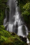 waterfall nature water tree moss scenery natural stock photo