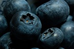 blueberries bilberry macro fruit stock photo