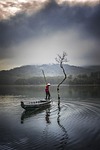 tree fisherman fishing lake tuyen lam da lat stock photo