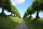 castle avenue trees nature heaven garden architecture perspective stock photo