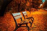 benches autumn park nature rest sit bench seats stock photo