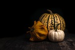 pumpkins vegetables food squash produce harvest still life stock photo