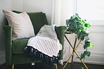 chair home room plant ivy interior table blanket stock photo