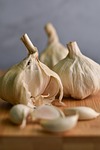garlic cloves bulbs heads produce harvest organic fresh stock photo