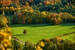 field trees fall autumn mood color meadow hill stock photo
