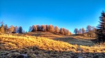 mountain field trees sunset sunlight sky meadow landscape stock photo
