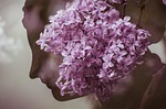 woman gracefulness flower background double exposure lilac purple stock photo