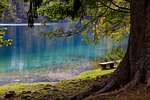 lake forest park bench tree wood water reflection stock photo