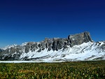 mountains snow meadow field mountain range mountainous alpine stock photo