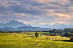 fields mountains alps landscape nature countryside meadow pasture stock photo