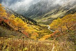 natural autumn yellow leaves autumnal mountain valley forest stock photo